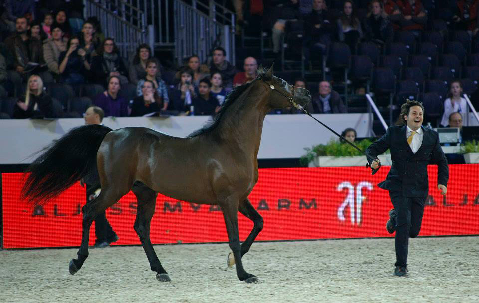 EURYDICE x SALON DU CHEVAL 2014